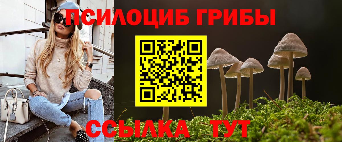 Жуковский  Галлюциногенные грибы Cubensis  Вход с VPN  Галлюциногенные грибы Cubensis 
