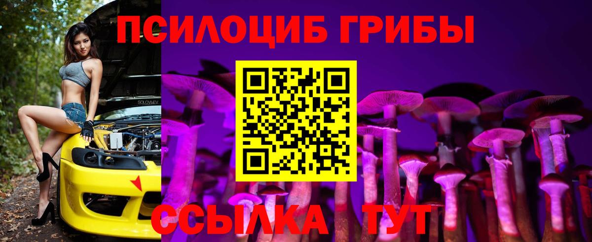 Псилоцибиновые грибы прущие грибы Жуковский